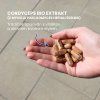 slozeni cordyceps mycelium renovality