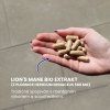 slozeni lions mane renovality cz