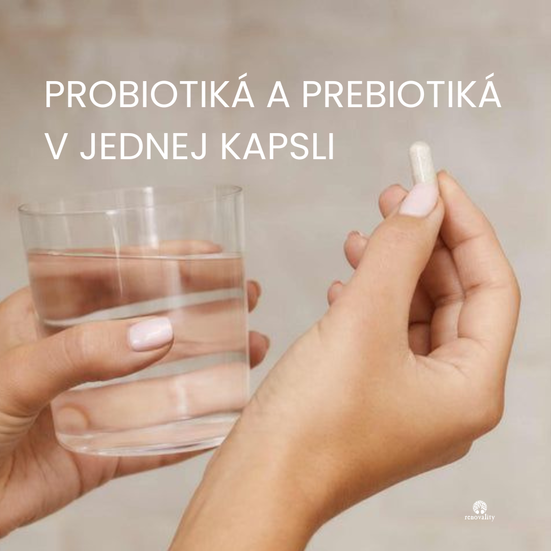 NOVINKA RenoSynbiotic+