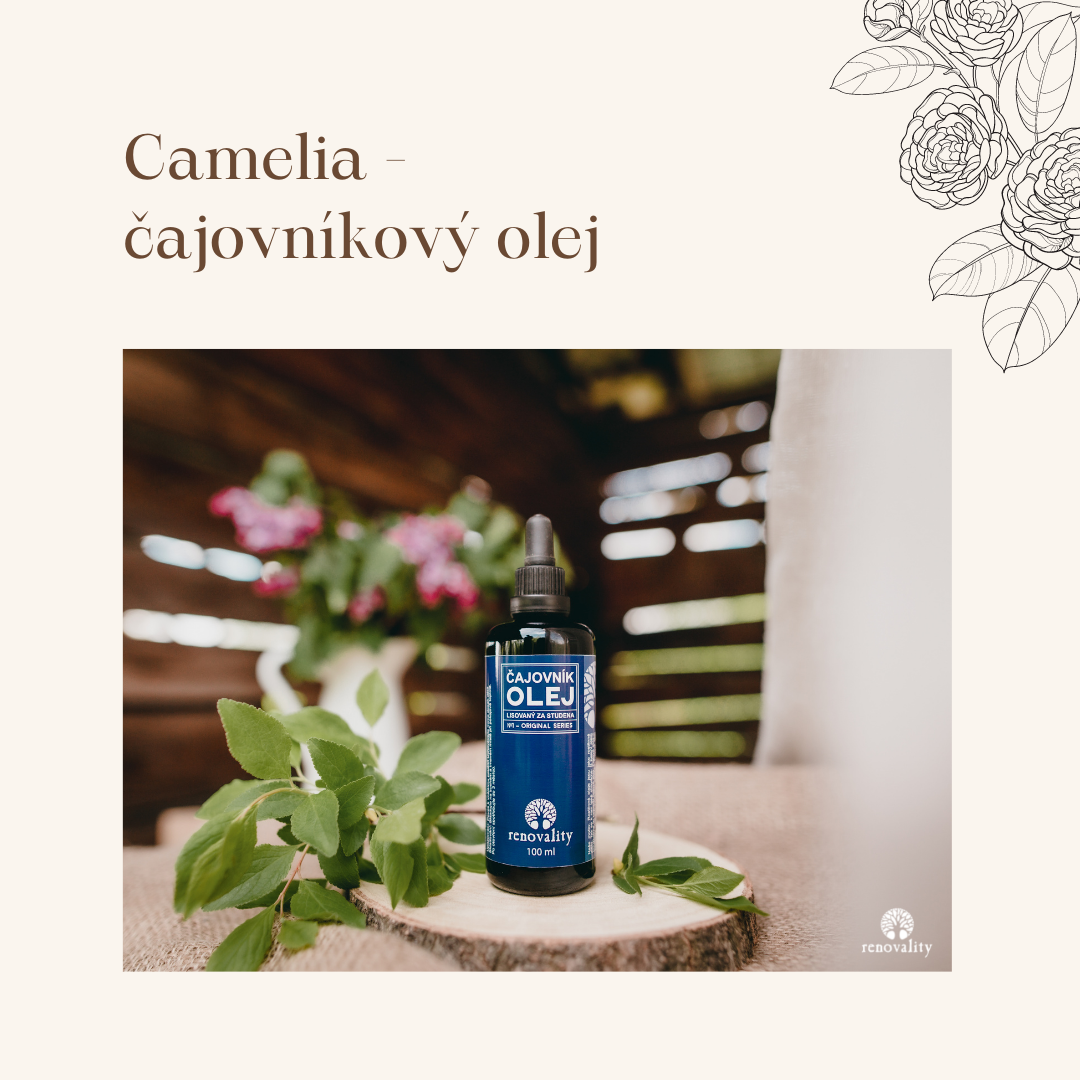 Čajovníkový olej - camelia