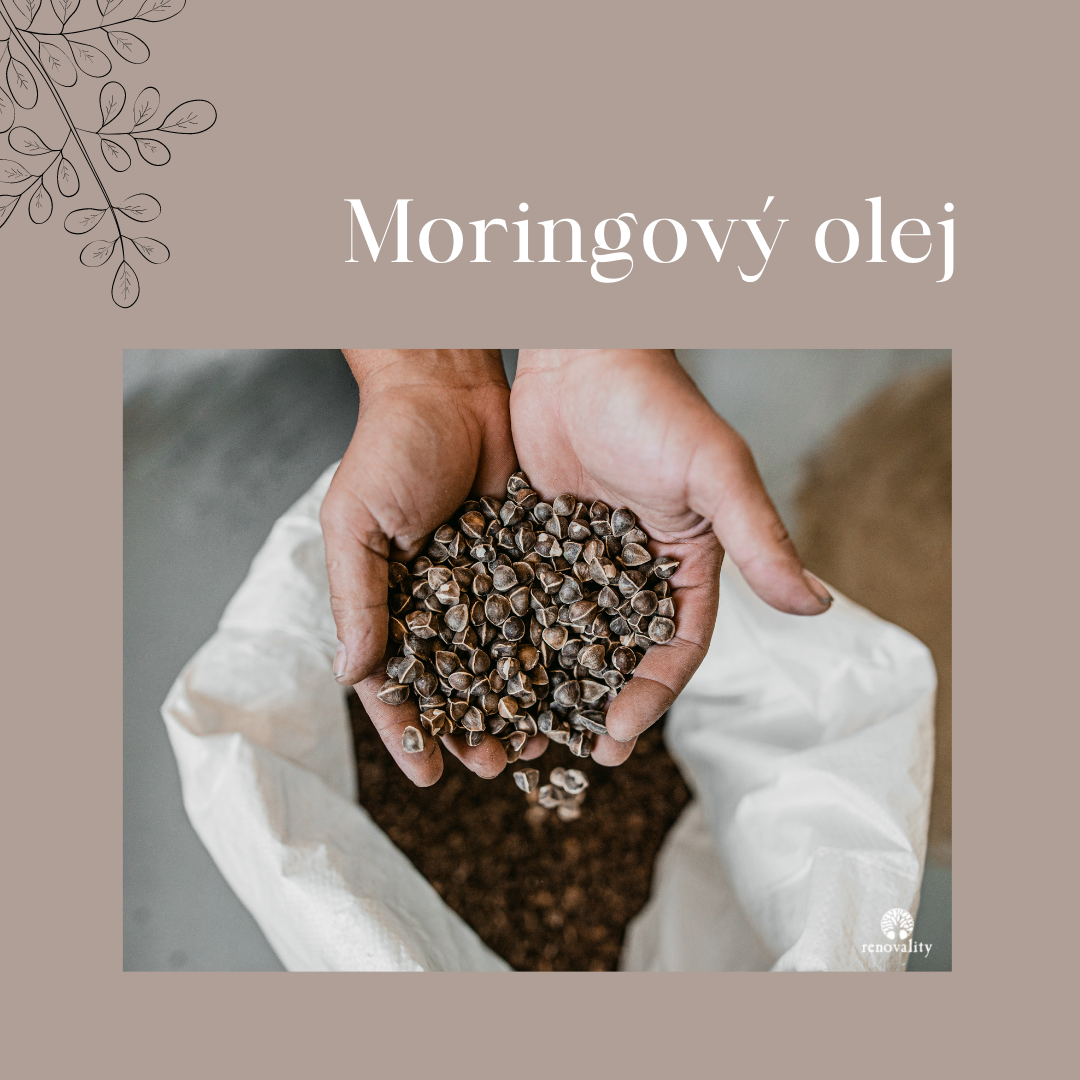 Moringový olej