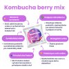 Kombucha Real Bubble Berry Mix