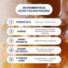Kombucha Energy