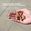 slozeni cordyceps mycelium renovality sk