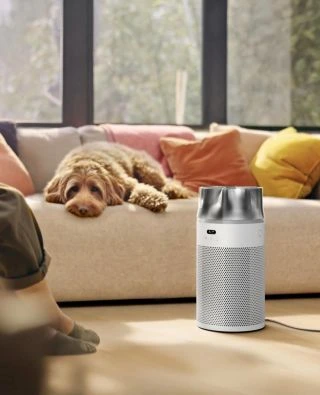 Novinka Dyson HushJet Tichá a výkonná čistička vzduchu pro čistý domov bez alergenů a prachu. ✔ Bez kauce ✔ Doprava zdarma...