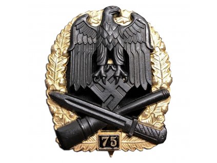 general assault badge 75 assaults