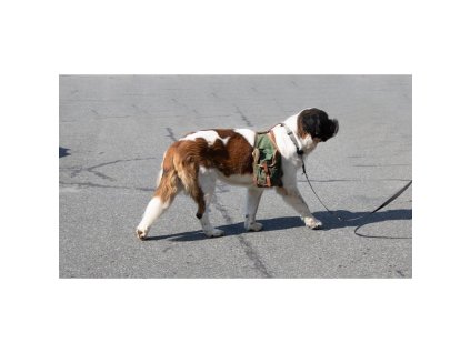 Brašna/taška pro psa plátěná použitá ZELENÁ