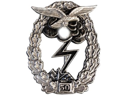 ground assault badge of the luftwaffe 50 assaults