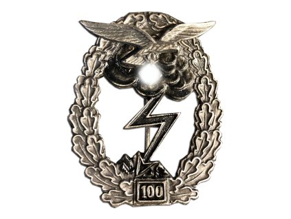 ground assault badge of the luftwaffe 100 assaults