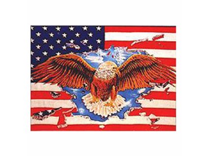Vlajka USA EAGLE