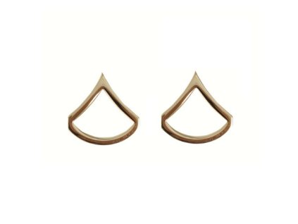 Odznak hodnosti PRIVATE FIRST CLASS POLISHED ZLATÝ