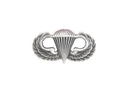 Odznak US PARA BASIC velký