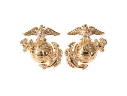 Odznak SUBDUED MARINE CORP GLOBE & ANCHOR ZLATÁ