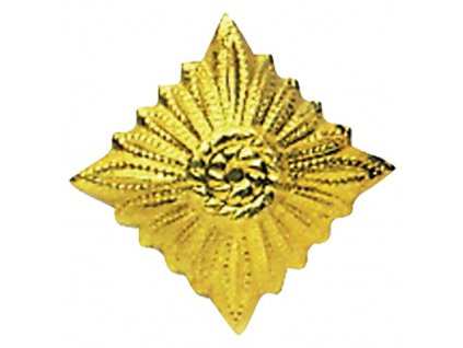 Odznak hodnostní NVA hvězda GOLD - ZLATÁ