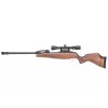 70225 gamo spitfire 0002 bsa spitfire