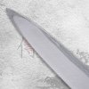 23675 6 japonsky nuz yanagiba sashimi 270 mm kanetsune kc 400 series 7