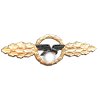 luftwaffe transport and glider squadron clasp gold