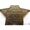 denix lincoln county sheriff badge (1)