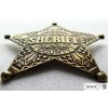 denix lincoln county sheriff badge (2)