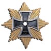 Náprsní hvězda k Velkokříži Železného kříže (Bruststern zum Großkreuz des Eisernen Kreuzes)