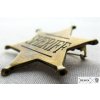 denix sheriff badge (2)