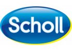 Nové Scholl