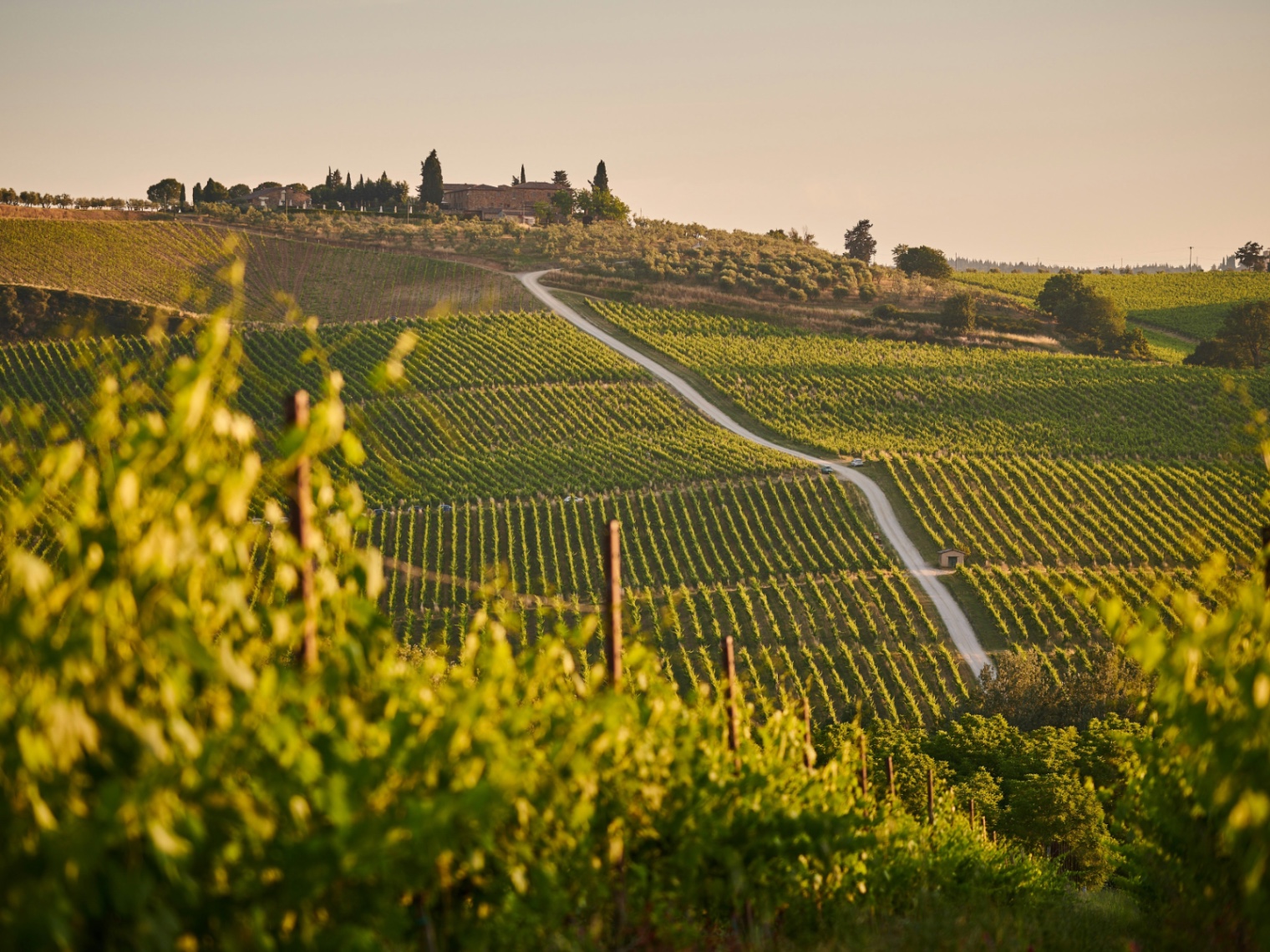 Vinobraní 2026: Kam vyrazit za burčákem a jak si slavnost vína užít i doma