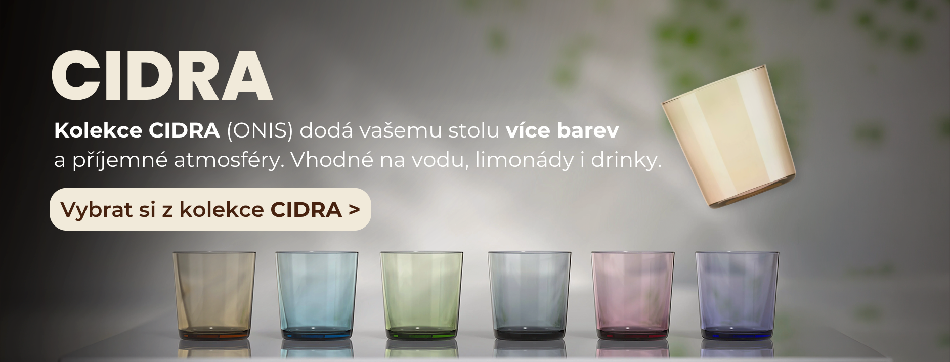 CIDRA - ONIS