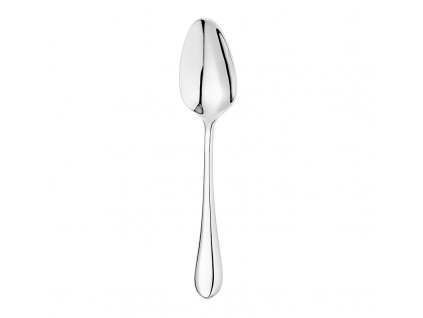 Destello lžíce jídelní, 208 mm, stříbrná, Repollo, Verlo,