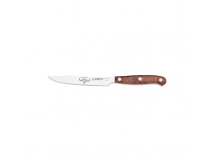 Premium Cut Thuja Steak 12 cm, Repollo, Giesser-Messer,