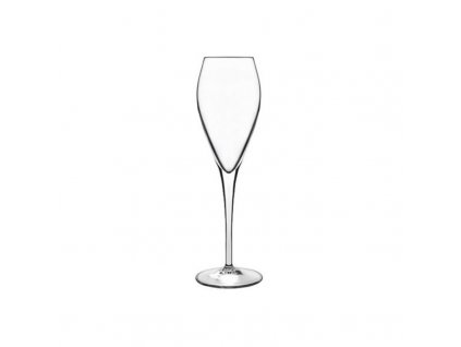 Atelier sklenice na šumivé víno 20 cl