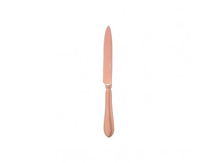Destello nůž jídelní 23,8 cm