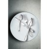 Destello nůž dezertní, 21.1 cm, stříbrný, Repollo, Verlo,