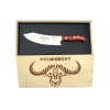 Premium Cut Red Diamond Chef 20 cm, Repollo, Giesser-Messer,