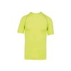 pa4007 fluorescent yellow a1
