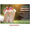 Zásady