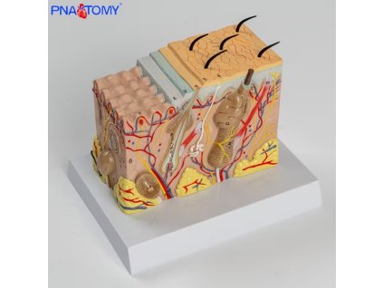 24e254c7 dd7d 409e bbd9 ac8046ec0d93