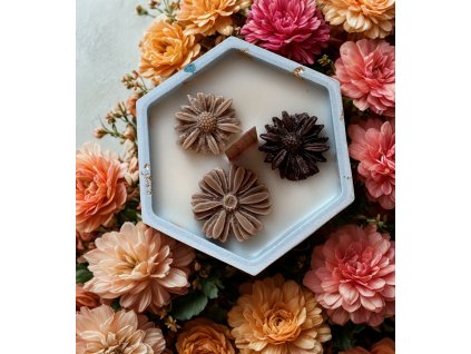 Návrh bez názvu (57)