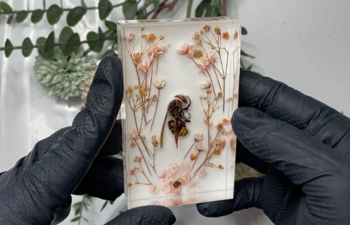 Anleitung zum Einbetten von Insekten in Epoxidharz