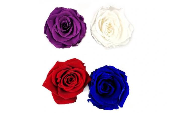 Kde koupit stabilizovanou růži?