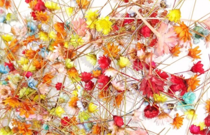 How to dye dried flowers into resin