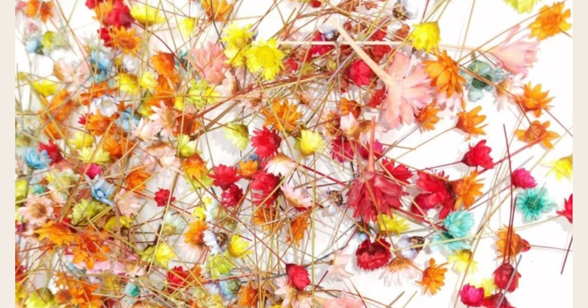 How to dye dried flowers into resin