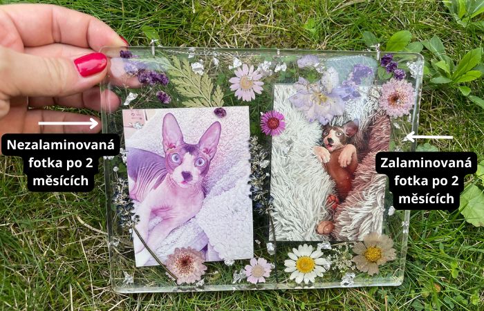 fotky zalité v pryskyřici