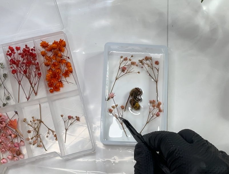 Zalievanie hmyzu do živice