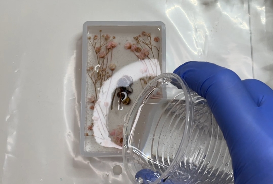 Zalievanie hmyzu do živice