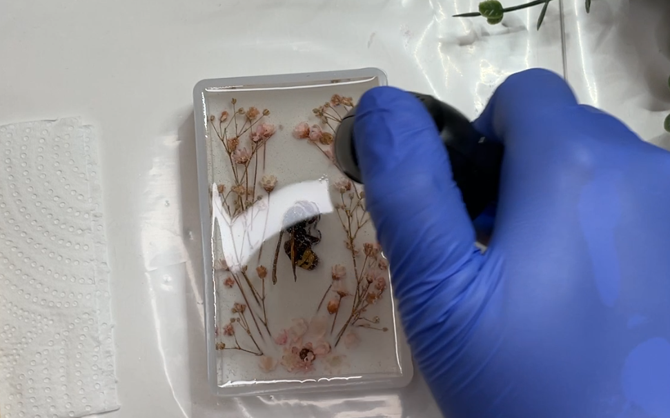 Zalievanie hmyzu do živice