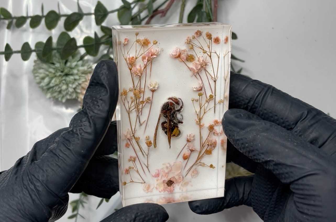 Zalievanie hmyzu do živice