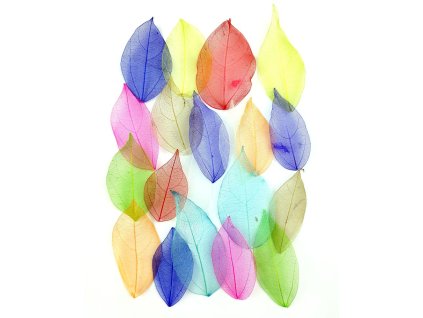 Skeletal Leaves for Resin 20 pcs – Mixed Colours