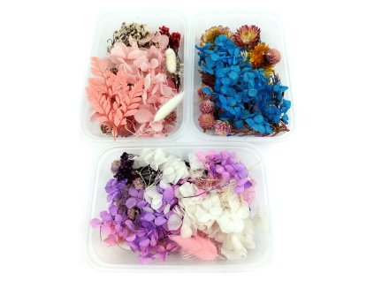 Set of dried flowers in resin in a box