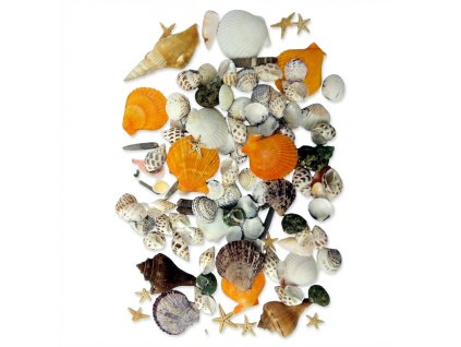 Dekorace do pryskyřice – sada mušlí velká